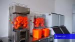 Automatic Commercial Orange Juicer Orange Juice Making Machine 120W