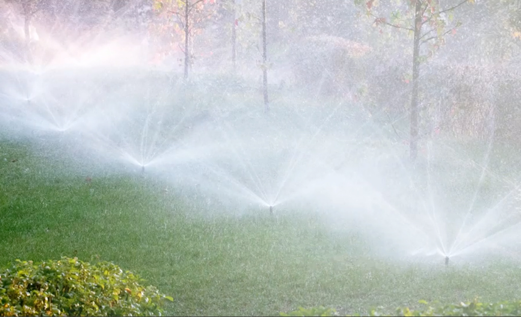 irrigation