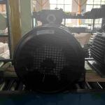High Voltage Induction 3 Phase Electric Motor Waterproof High Efficiency For
