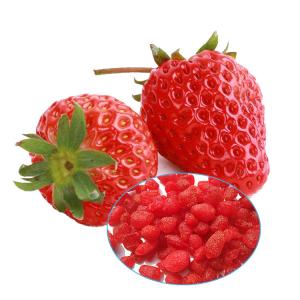 Quality Highly Nutritional Dried Fruit Snacks , Freeze Dried Strawberries No Sugar Added wholesale