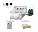 800 Ton Freezer In Cold Room 100mm 200mm 120mm 75mm