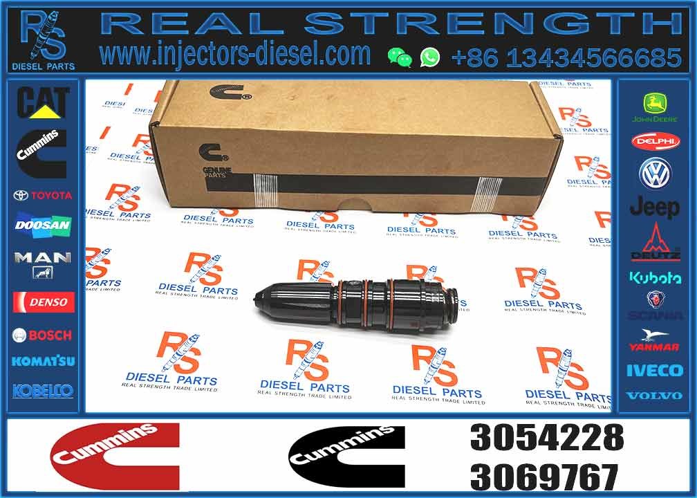 Fuel Injector 3054228