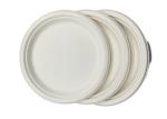 10" 20g Bar Biodegradable Sugarcane Bagasse Plates