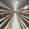 Buy cheap Q235A Galvanized Steel Layer Chicken Cage from wholesalers