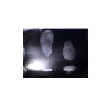 C187 Black gelatin fingerprint lifter