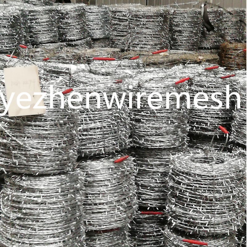Hot Dipped Galvanizedbarbed wire/cheap barbed wire price per roll/barbed wire roll price fence Razor Barbed Wire