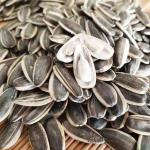 99.9% Purity Sunflower Seeds for Creating Delicious Snacks and Meeting Customer