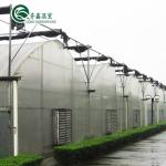 PO Single Layer Greenhouse for Agriculture Boost Agricultural Production