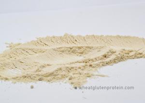 Quality Food Industry Protein From Wheat Flour , No Smell Dried Wheat Gluten wholesale