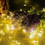 Battery Operated Wedding 5M 10M Waterproof Fairy Lights