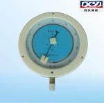 Precision Pressure Gauge YB150 (0.1-1MPa)