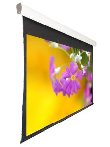 Quality Tab Tensioned motorized front projection screen 120 inch for hotels , business centers wholesale