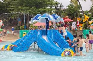 Quality Funny Kids Water Park Playground Slides wholesale