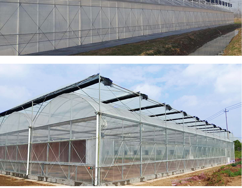 PO Film Double Layer Hydroponic Container for Superior Plant Growth Results