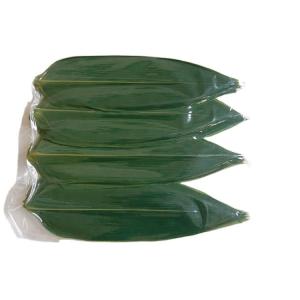 Quality Fresh Bamboo Leaves 24 Month Shelf Life Guaranteed wholesale