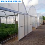 Agriculture Planting Plastic Sheeting Large Scale Steel Frame Greenhouse Multi