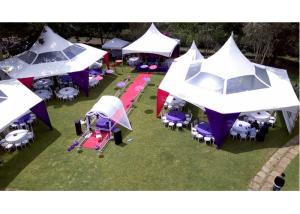 Quality 6m Pagoda Tent wholesale