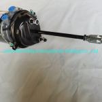 Sinotruk HOWO Truck Parts Brake Chamber Wg9000360600 in Black for Standard