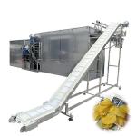 Customized Garlic Drying Industrial Large Food Dehydrator Machine Stainless