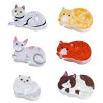 Acetic acid shark clip Cute Cat Hair Clip