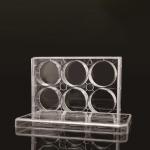 6 Well TC PCR Laboratory EDGE Cell Plates