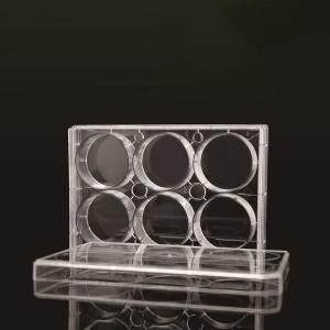 Quality 6 Well TC PCR Laboratory EDGE Cell Plates wholesale