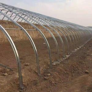 Quality Single Span Tunnel Solar Greenhouses With Double Wall And Insulating Blanket wholesale