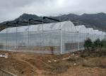 Agricultural Multi Span 10m 200 Micron Ldpe UV Film Greenhouse
