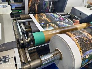 Quality Eco-Friendly Packaging Sleeve Type Flexo Printing Machine for Food and Healthcare Industry wholesale