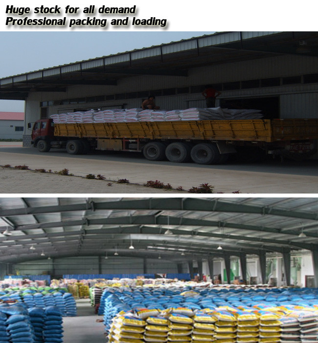 HACCP Certificate Chicken Feed Protein Applied Poultry Disease - Resistant