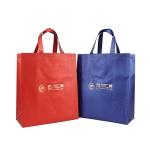 Nonwoven polypropylene biodegradable tote bag gift bags wholesale sparkle custom