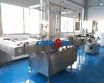 Diagnostic Reagent Filling Capping Production Line PERWIN Patent Product