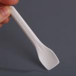 Ice Cream Biodegradable Spoon 9.5cm Pla Tableware