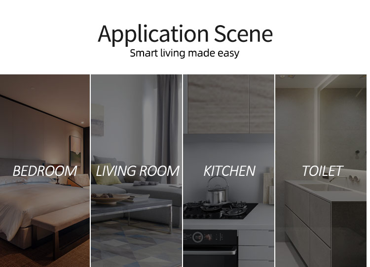 EU Standard Tuya Smart Switch 2 Gang LED Sensor Light Voice Control Wifi Smart Timer Switch
