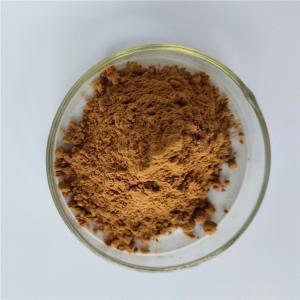 Quality best selling products health care product guava extract for capsules wholesale
