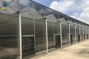Quality Commercial Herb Cultivation Polycarbonate Green House For Organic Vegetable Farming wholesale