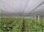 Agriculture Greenhouse Shade Netting , 2 x 100m , 30gsm - 300gsm