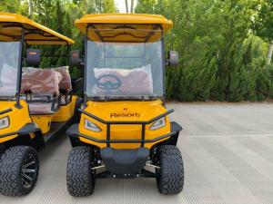 Quality New Wholes Electric Power Steering Golf Truck Cheap Price Evolution Small Golf Cart Fast wholesale