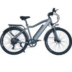 7 Speed Electric Mountain Bike 500W 48V Motor 17Ah Battery Disc Brake For Adults