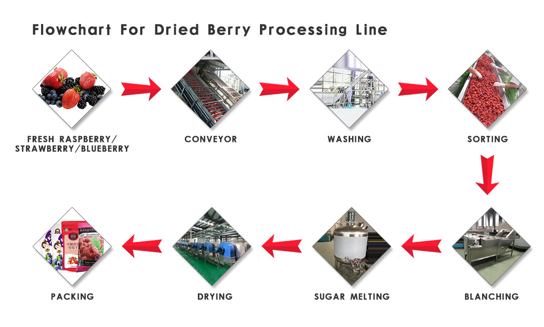 Stable Performance Dried Fruit Chips Making Machine Low Temperature Vacuum Evaporation