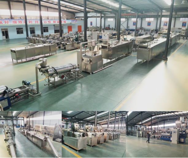 Full Production Line Pet Dog Food Extruder Processing Machine Made of Stainless Steel