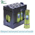 Polypropylene Fruit Corrugated Boxes Polyethylene Asparagus Box