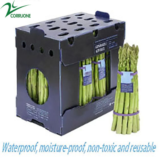 High Performance Coroplast Board For Flexible Box Packaging