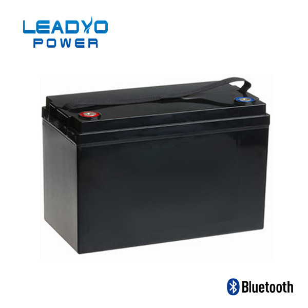 12V 100ah RV Camper Battery Deep Cycle Lifepo4 Caravan Battery