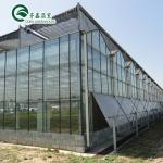 Galvanized Steel Structure Venlo Glass Greenhouse for Growing Vegetable Fruits