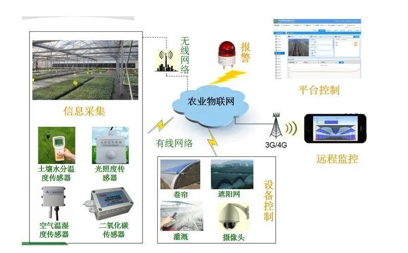 Juxiang Leafy Vegetable Container House