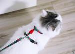 Sublimation Large Cat Harness And Leash Cat Halter For Walking