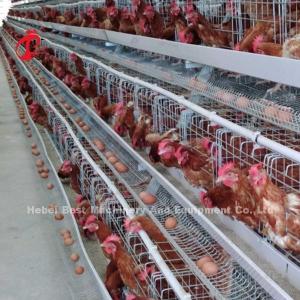 Quality 4 Tiers High Hardness Layer Chicken Battery Cages Metal Wire With Water Tank Rose wholesale