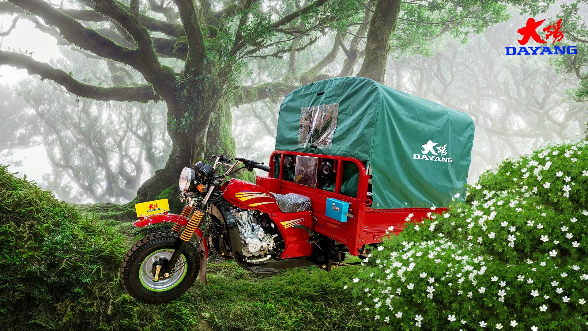 DAYANG Model Prince Cargo Tricycle with Tarp and Fuel Type Gasoline Made in 320 * 80