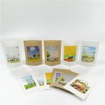Biodegradable 100mircon VMPET Kraft Paper Packaging Bag